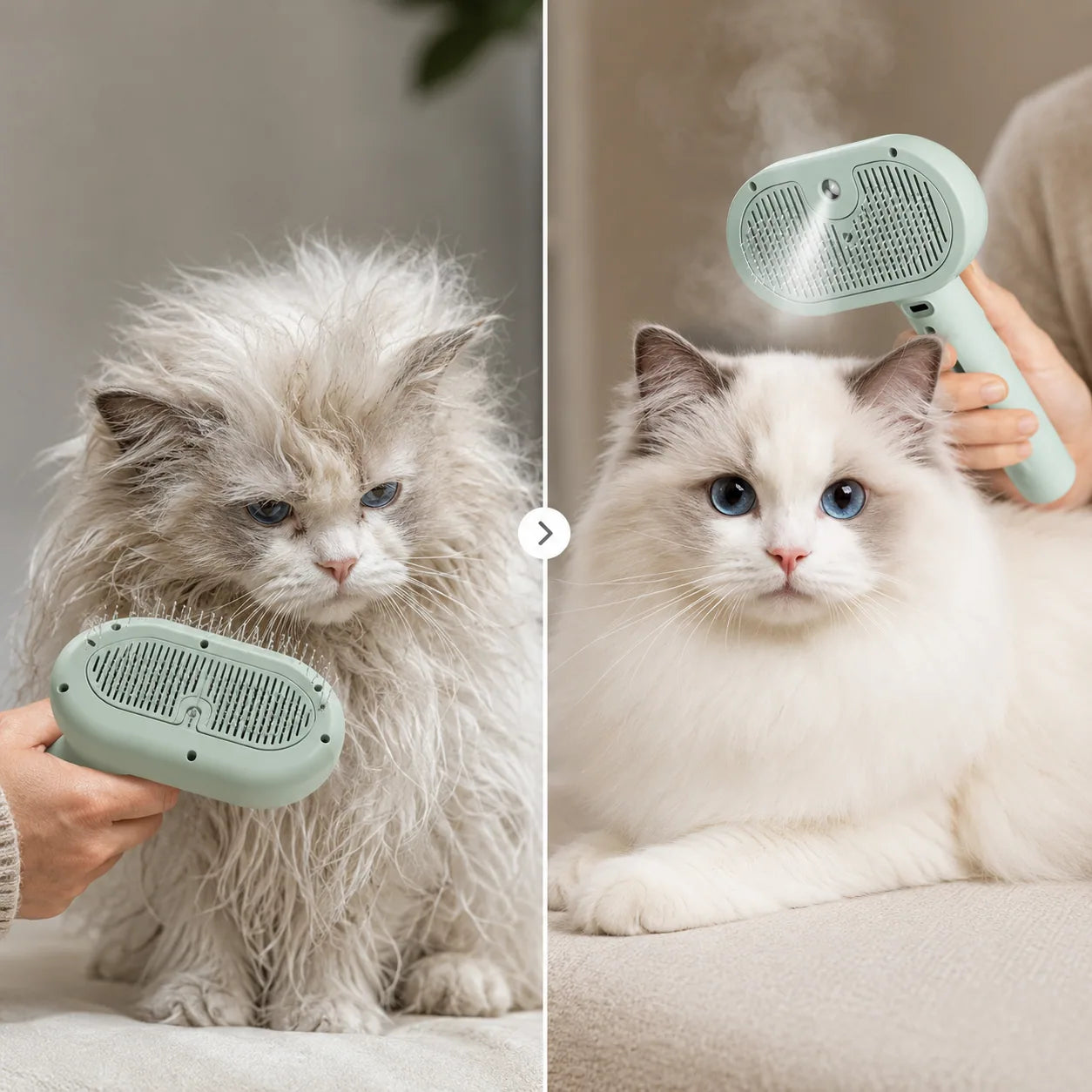 Foxiora SteamGroom Pro steam before and after result