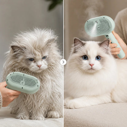 Foxiora SteamGroom Pro steam before and after result
